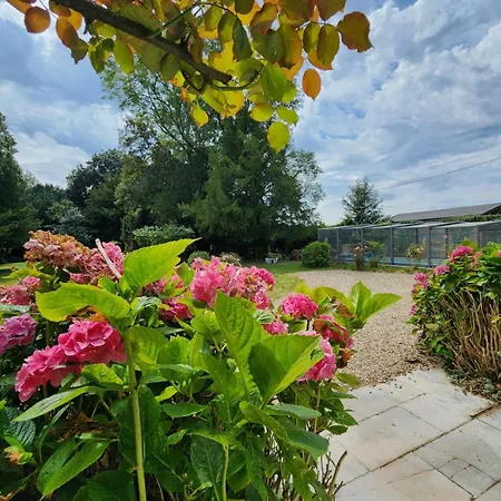 Manoir Historique Cachet D'antan - Avec Jardin Et Piscine - Proche Veules-les-roses 3* Benesville