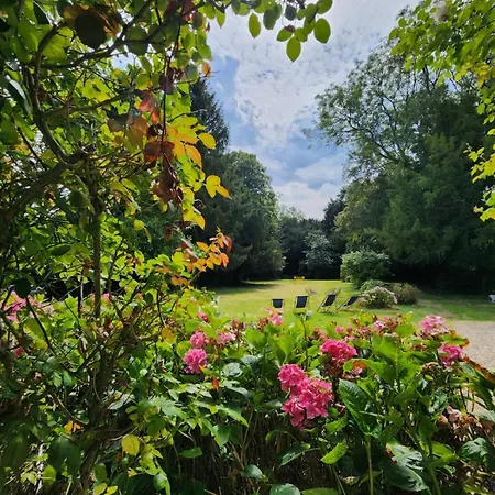 Manoir Historique Cachet D'antan - Avec Jardin Et Piscine - Proche Veules-les-roses
